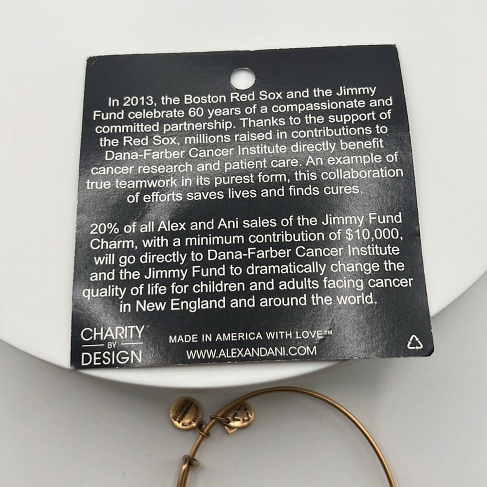 Alex and Ani the jimmy fund charm bracelet - Picture 3 of 3